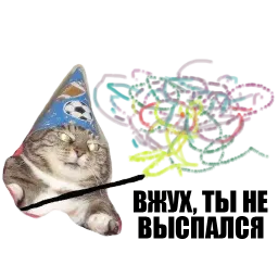 Кот вжух Telegram sticker pack