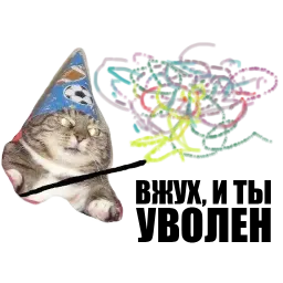 Кот вжух sticker 11
