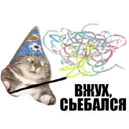 Кот вжух sticker 4