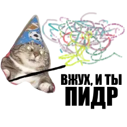 Кот вжух sticker 6