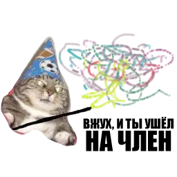 Кот вжух sticker 7