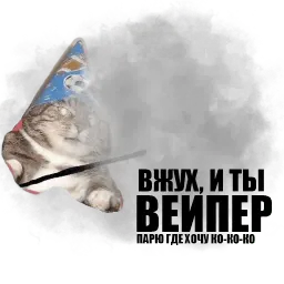 Кот вжух sticker 8