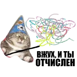 Кот вжух sticker 10