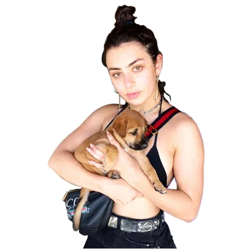 Charli XCX sticker 9