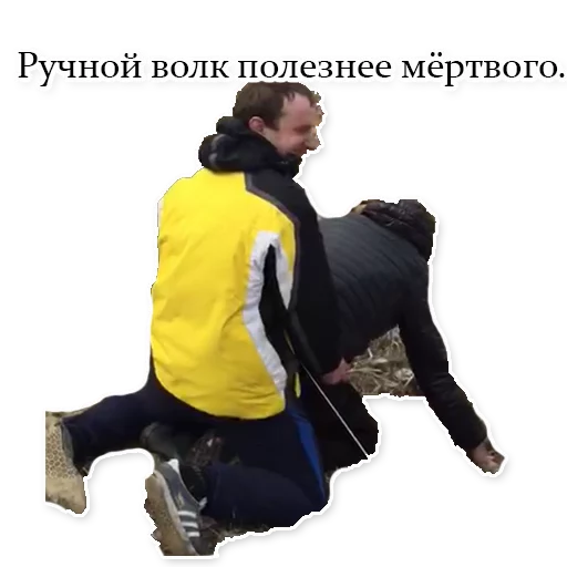 Чатикъ_ИП sticker 6
