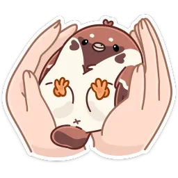 Чик sticker 2