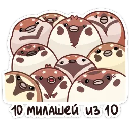 Чик sticker 12