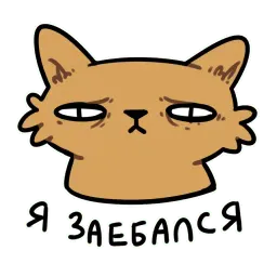 CI Cat sticker 12