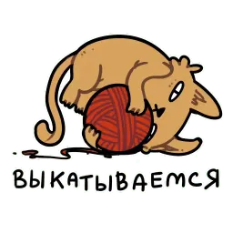 CI Cat sticker 3
