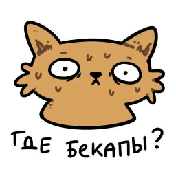 CI Cat sticker 6