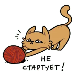 CI Cat sticker 10
