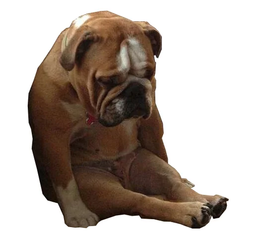 ciccioballs sticker 10
