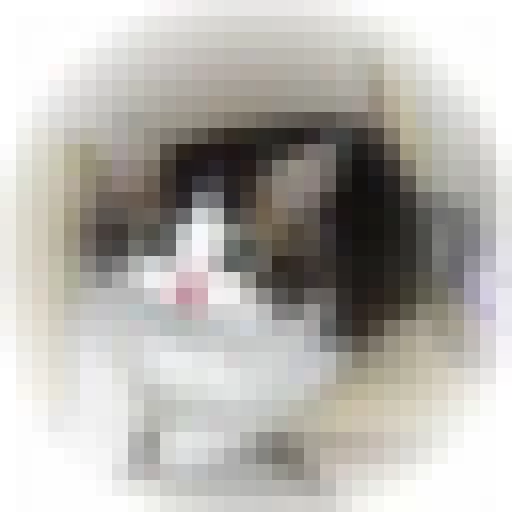 CIFAR Cats sticker 5