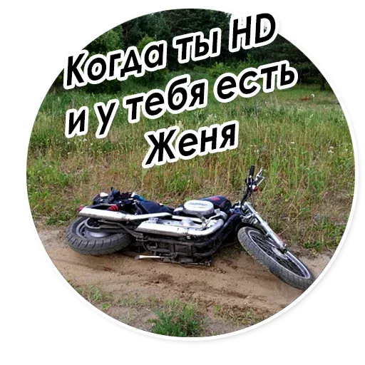 ClassicMoto Stickers sticker 14