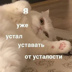 Жизнь котиков sticker 5
