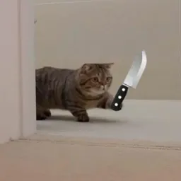 Котики sticker 9
