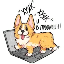 корги кодеры (@kotypic) sticker 2