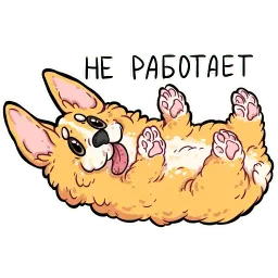 корги кодеры (@kotypic) sticker 11