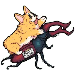 корги кодеры (@kotypic) sticker 3
