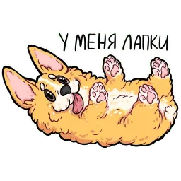 корги кодеры (@kotypic) sticker 4