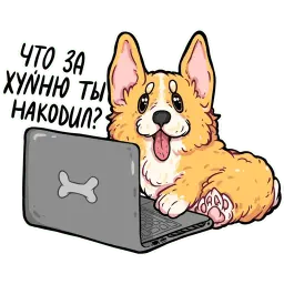 корги кодеры (@kotypic) sticker 6