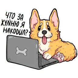 корги кодеры (@kotypic) sticker 9
