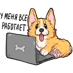 корги кодеры (@kotypic) sticker 10