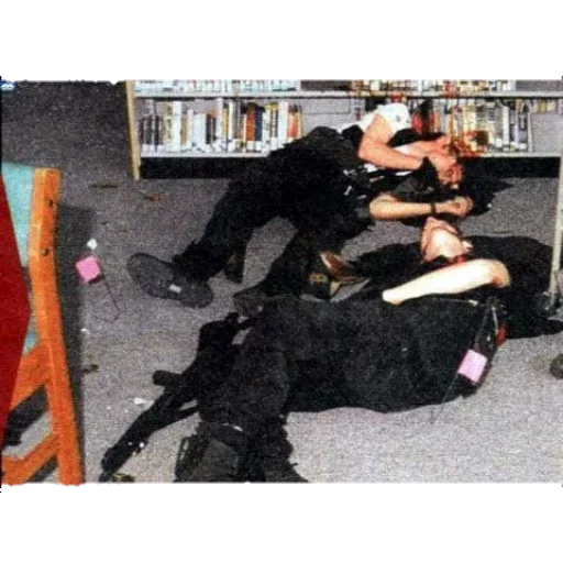 Columbine sticker 12