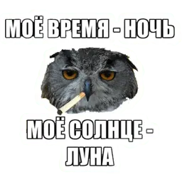 Типичный художник (@I_am_artist) sticker 12