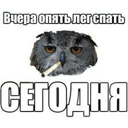 Типичный художник (@I_am_artist) sticker 6