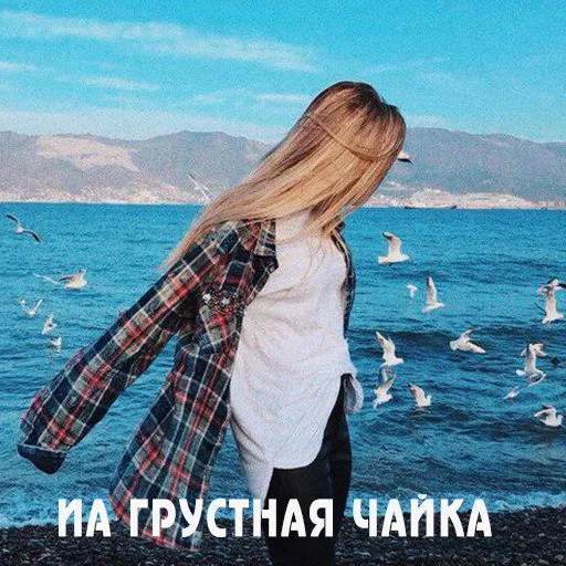 Чатский sticker 12