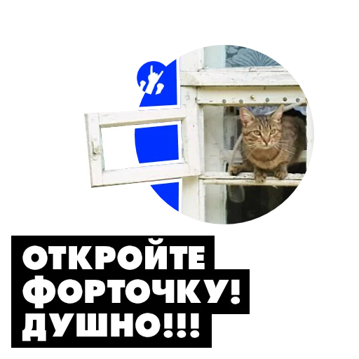 Coubers sticker 11
