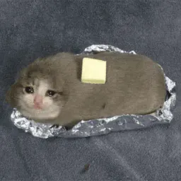 Плачущий кот sticker 2