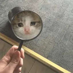 Плачущий кот sticker 12