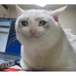 Плачущий кот sticker 3