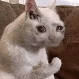 Плачущий кот sticker 4