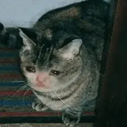 Плачущий кот sticker 7