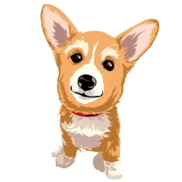 Corgi Dog Telegram sticker pack