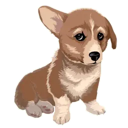 Corgi Dog sticker 3