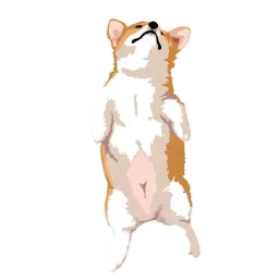 Corgi Dog sticker 8