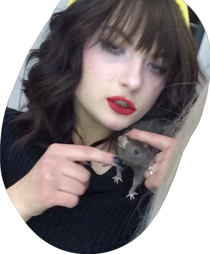 Dashkent sticker 2