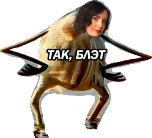 Dolboebi sticker 11