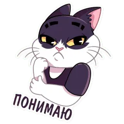 Кот Дайвинчика sticker 4