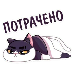 Кот Дайвинчика sticker 7