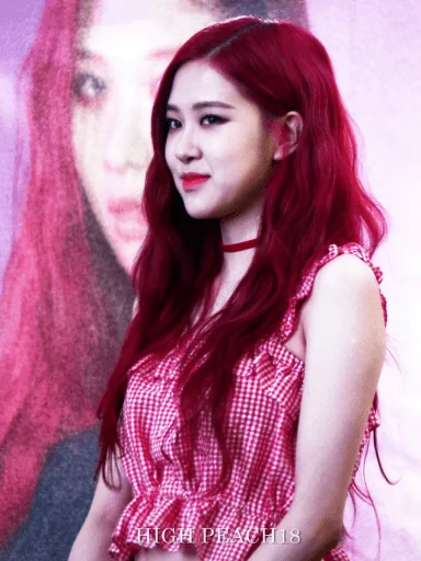Dembo [ @blackpinkmood ] sticker 12