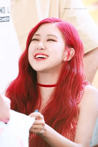 Dembo [ @blackpinkmood ] sticker 3