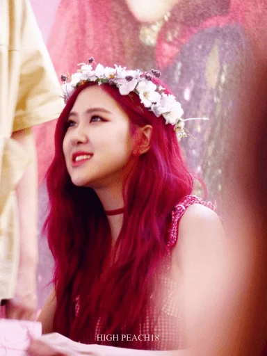Dembo [ @blackpinkmood ] sticker 8