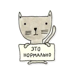 developer sticker 12