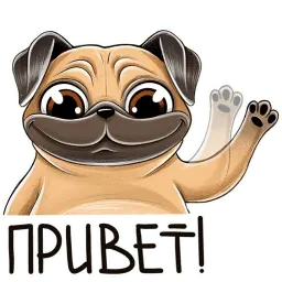 Мопс Telegram sticker pack