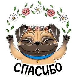 Мопс sticker 11